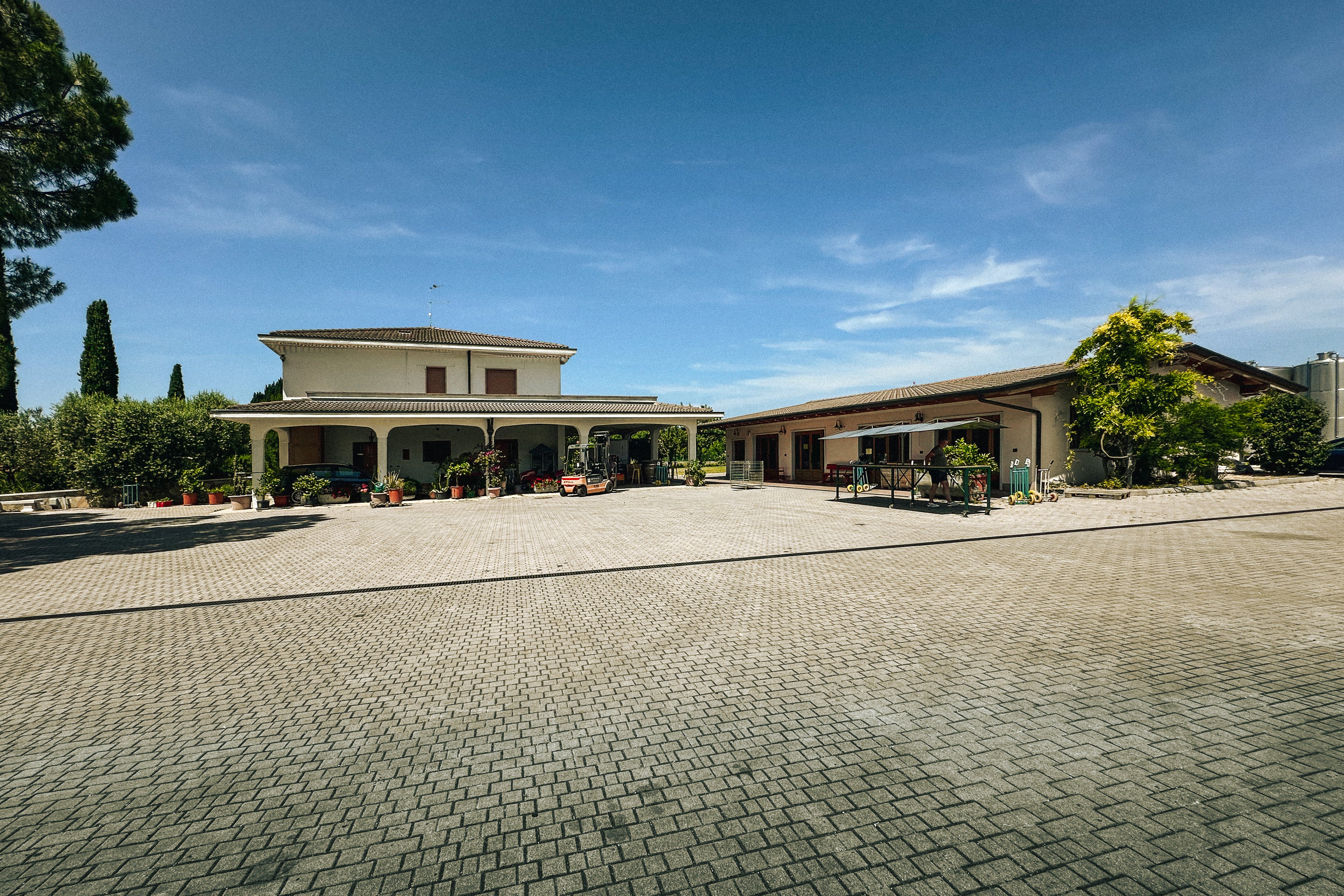 Das Vincenzi Weingut am Gardasee