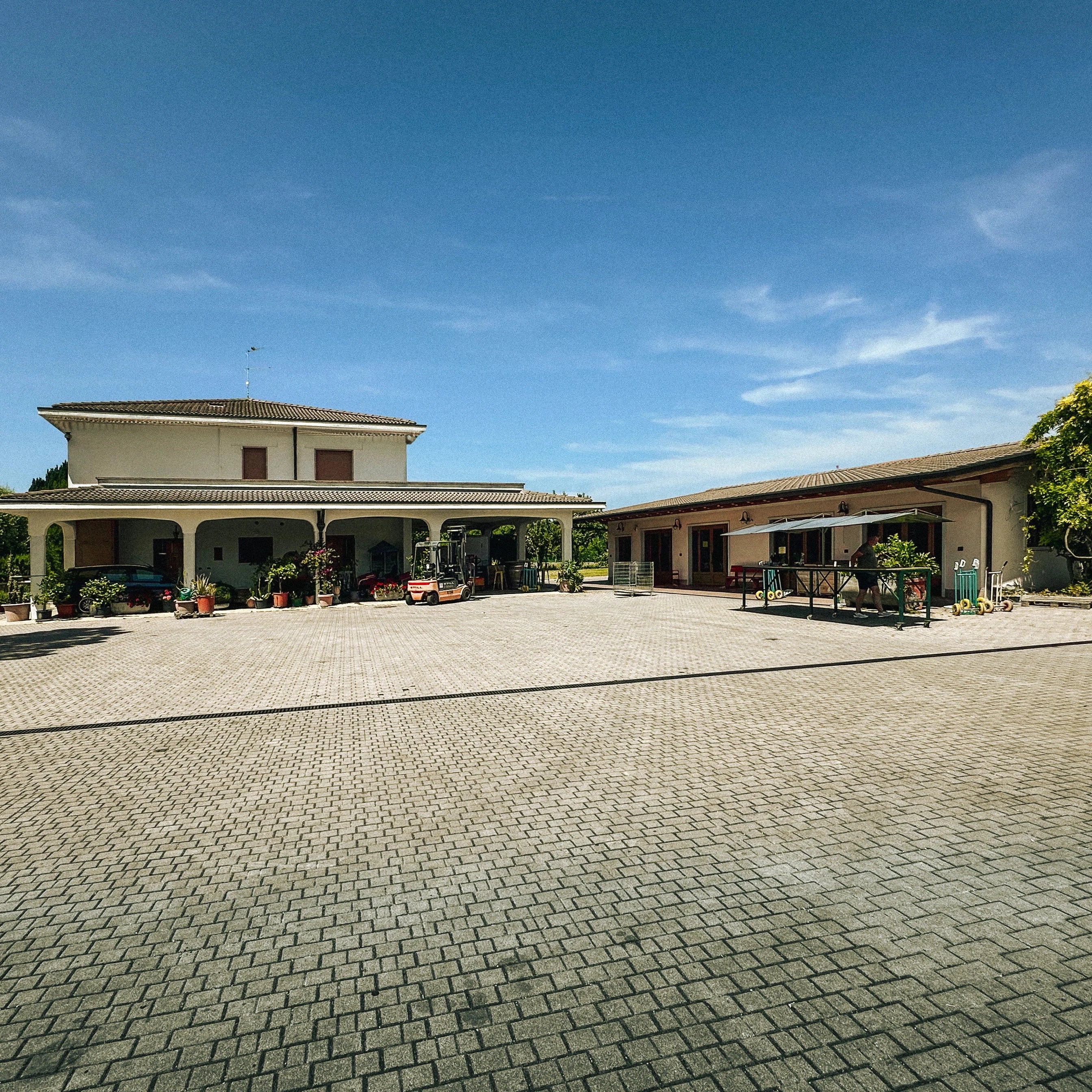 Weingut Vincenzi in Italien beim Gardasee