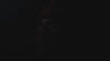 Rotwein Video Banner